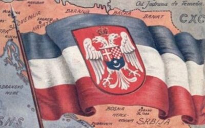 Драгиша Васић: Покушај једне анкете